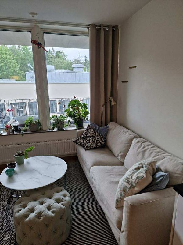 Well planned, cozy apartment with a cute cat