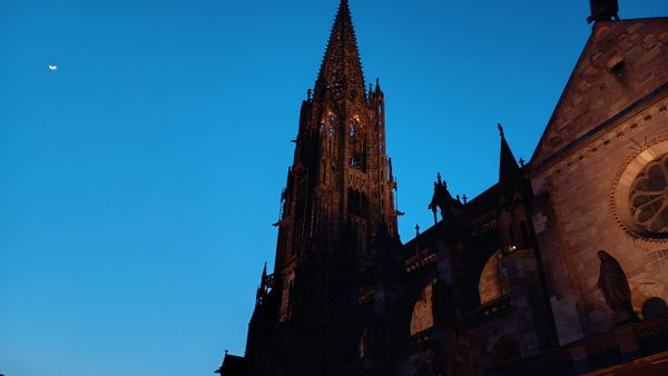 Charmante Altbauwohnung direkt im Stadtzentrum