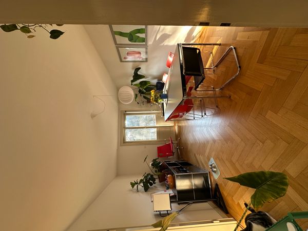 Daria's house