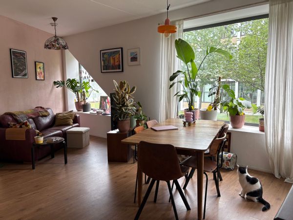 huis van Aukje
