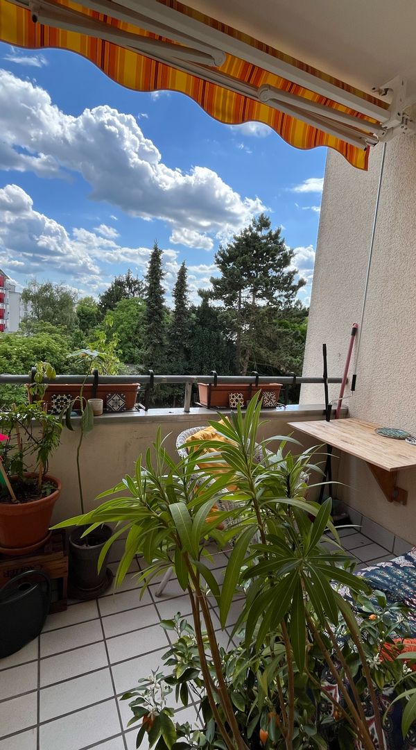 Isabel's house