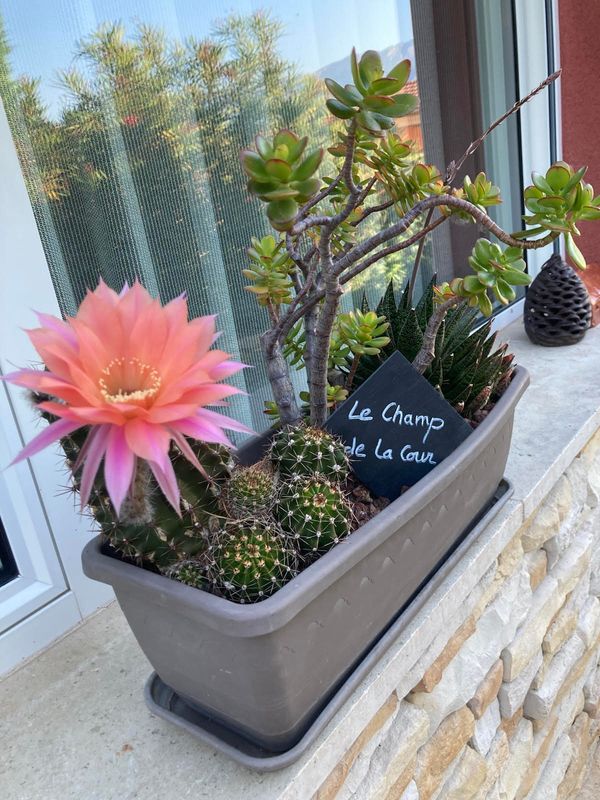 Casa di Anne et Thierry