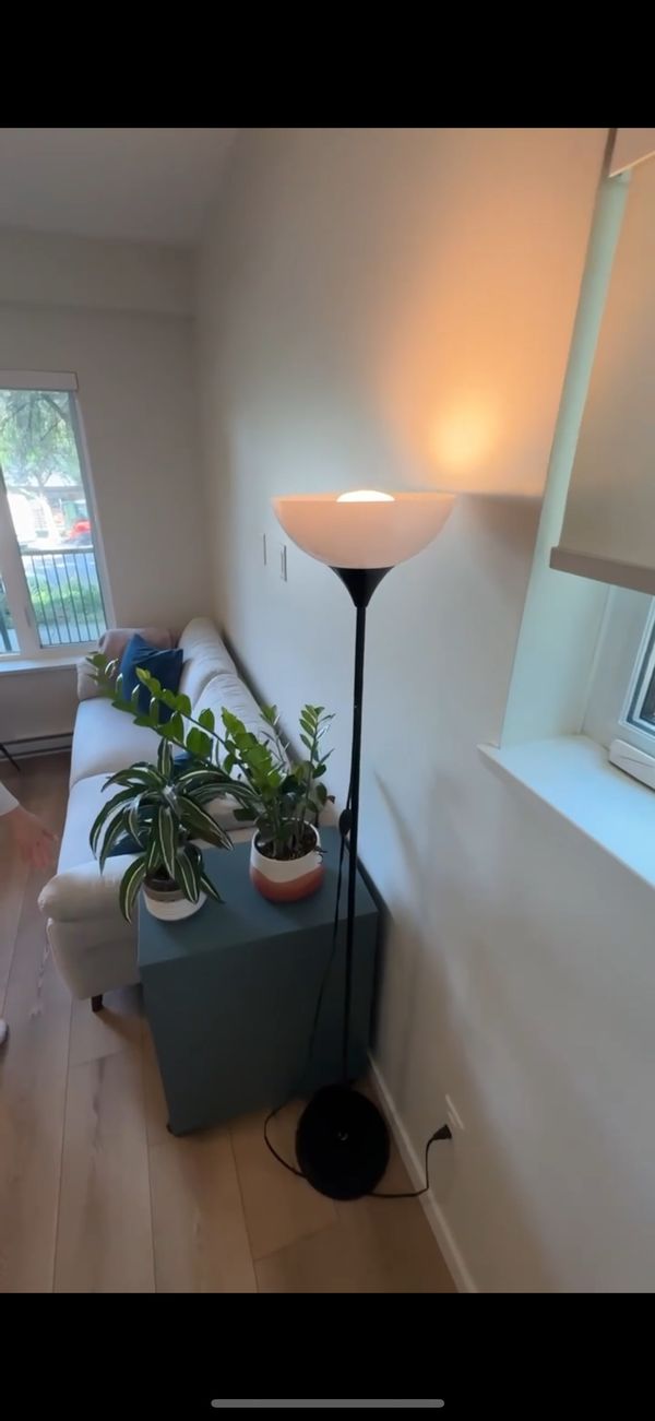 Alina’s suite