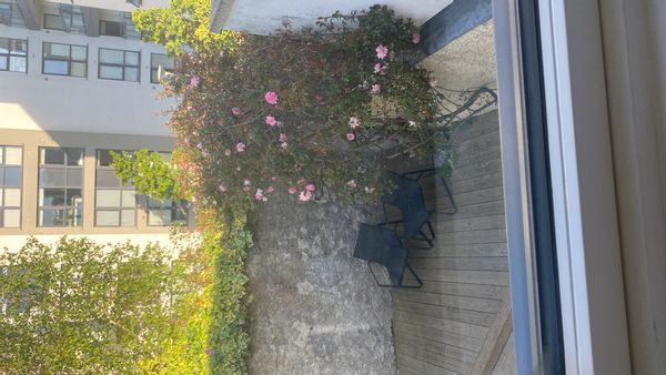 Suzanna s Haus