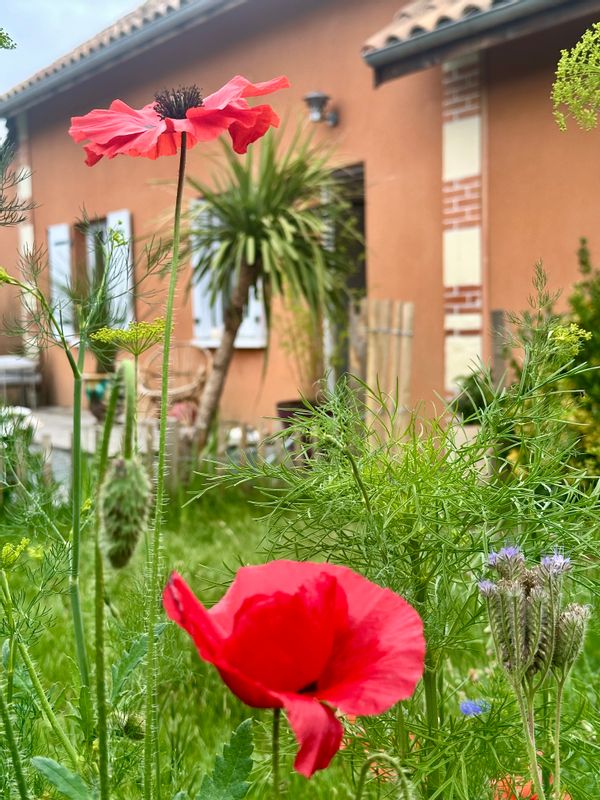 Coralieina kuća