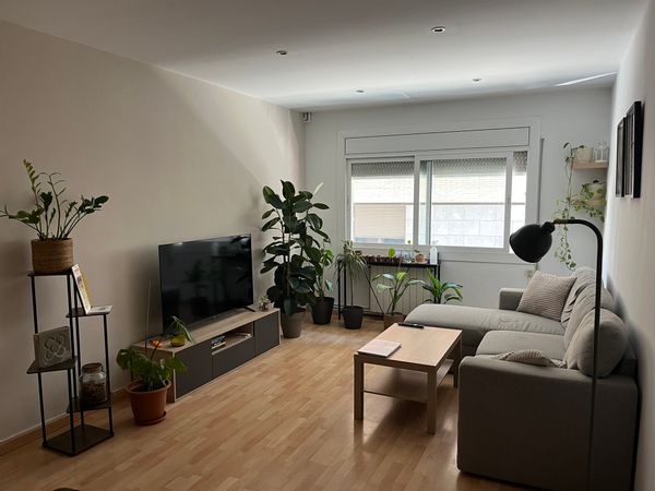 Casa de Greg