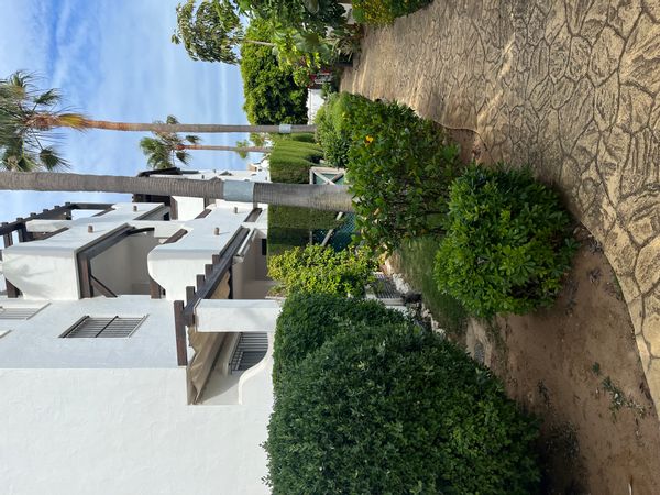 Rosas hus