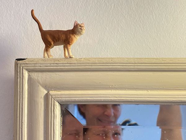 Casa de Sindy