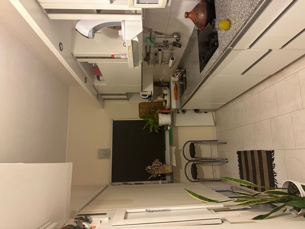 Casa de Alejandrina,tiene jardín,pileta,ingreso vidriado,living comedor,cocina,tres dormitorios etc