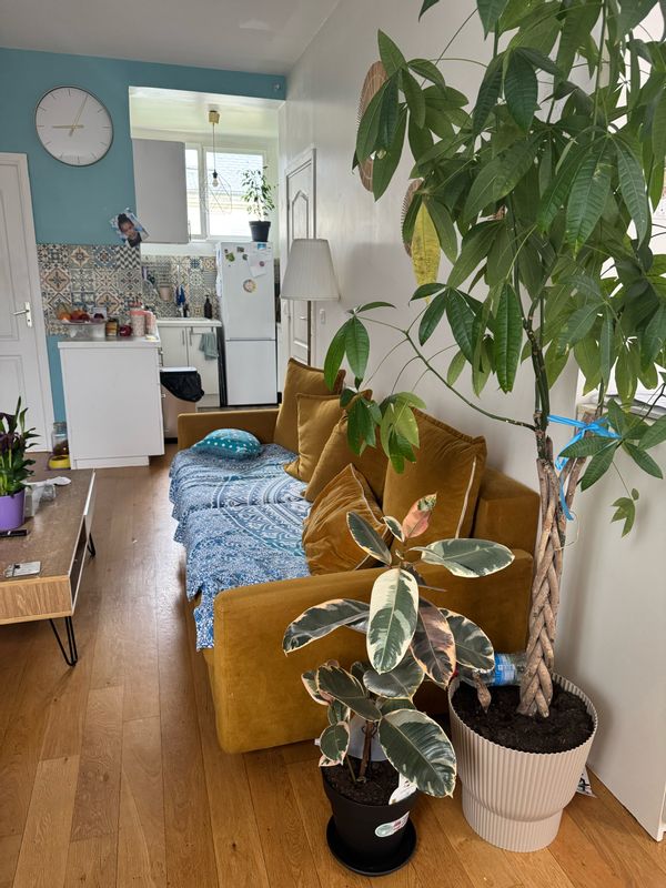 Casa de Emilie