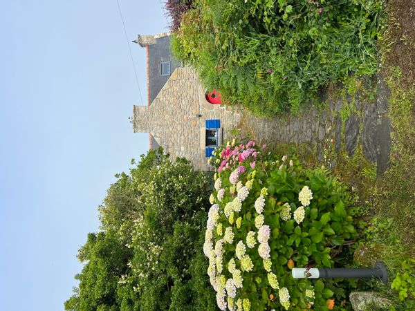Clotilde et Pierres hus