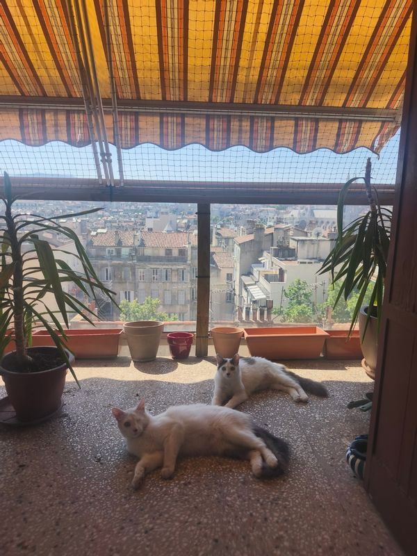 Casa di Leo