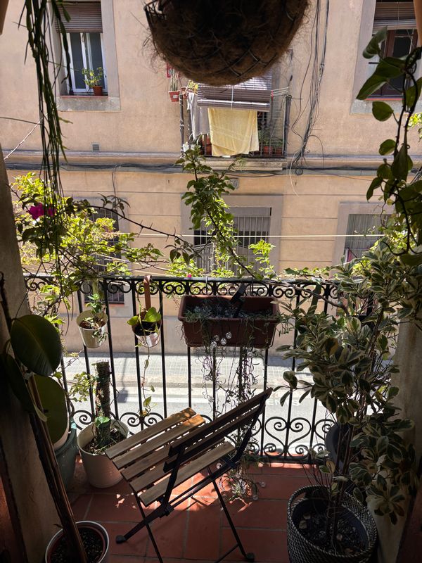 Maria julias hus