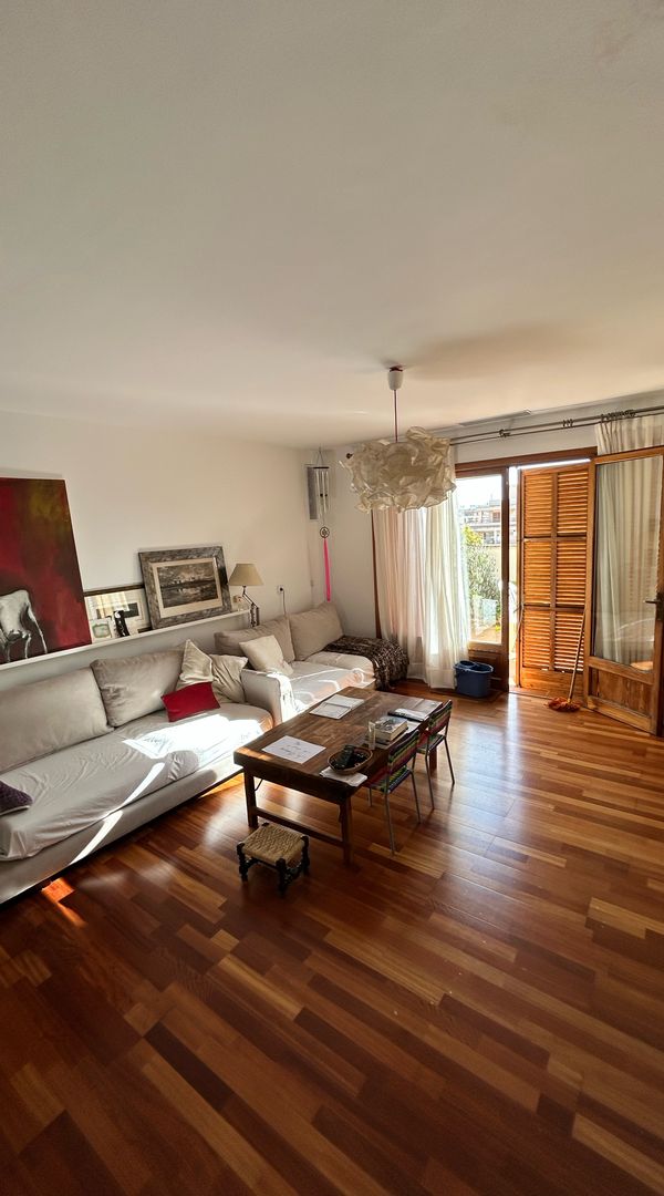 Marta's house