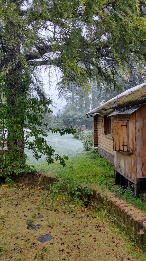 Francinas hus