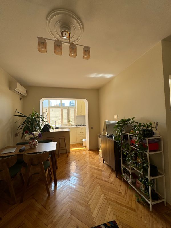 Central Baku apartment