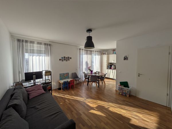 Anton's house