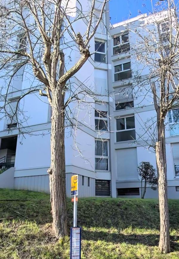 Elénas hus