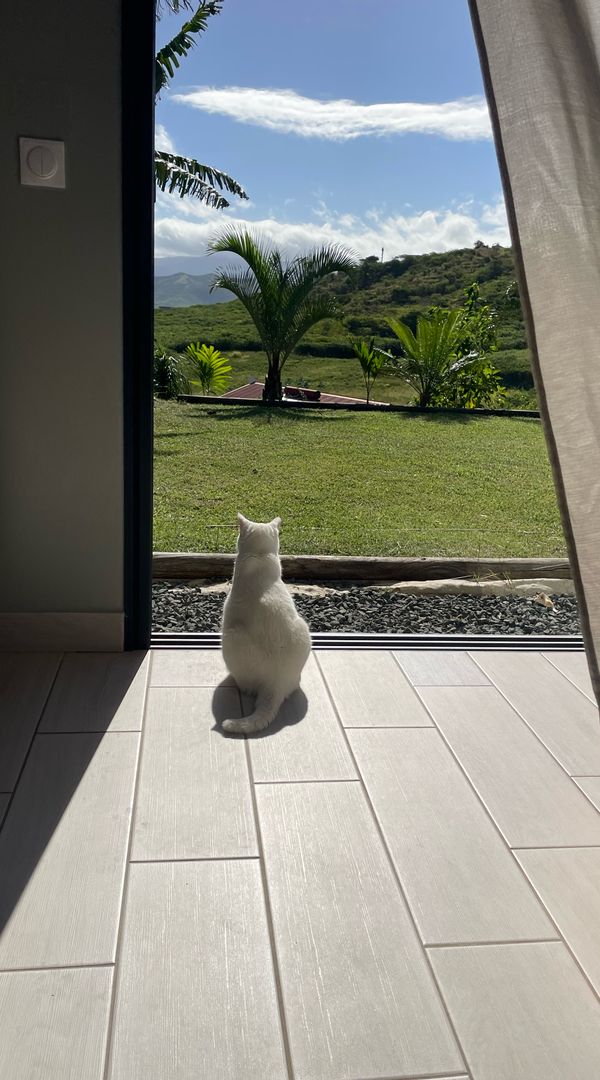 Casa de Andrea