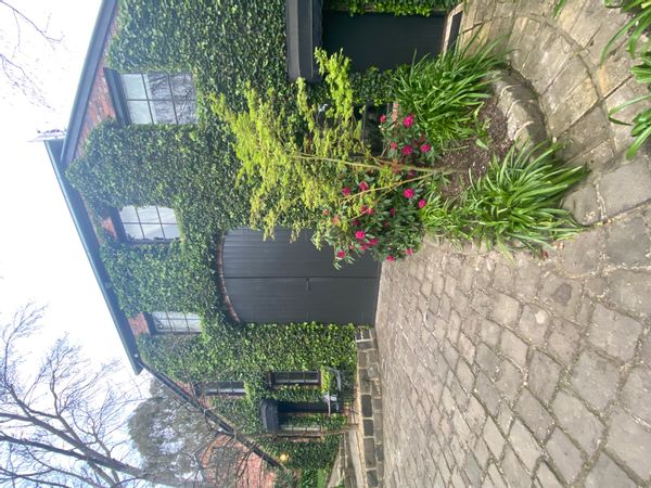 Leishas hus