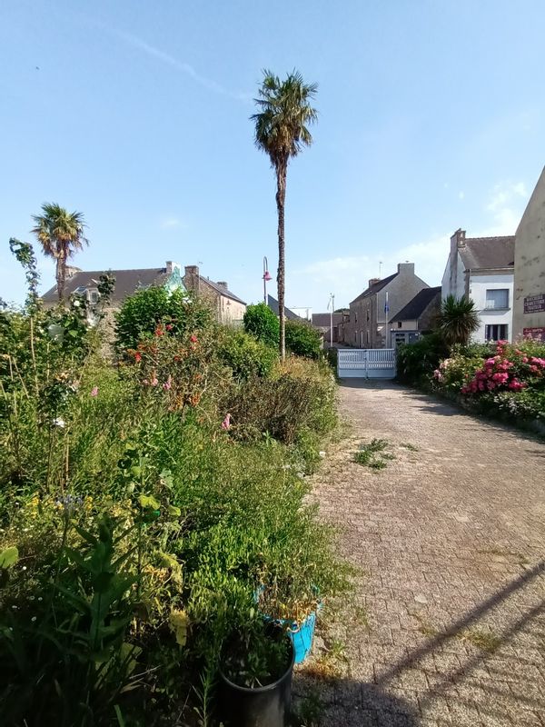 Armelle et Daniels hus