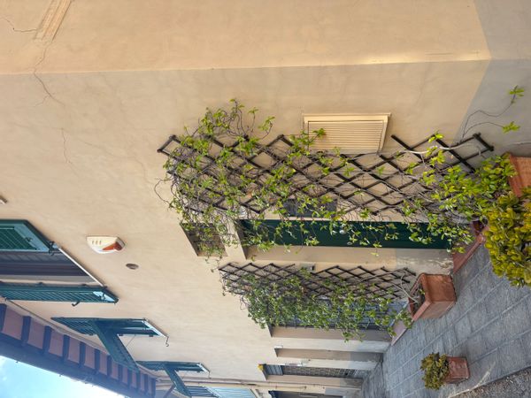 Casa de Carolina