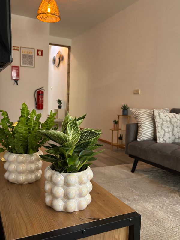 Casa completa com terraço e três quartos no Porto