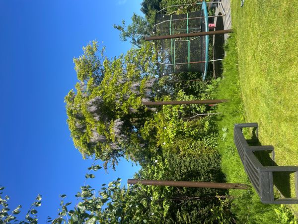 Roisins hus