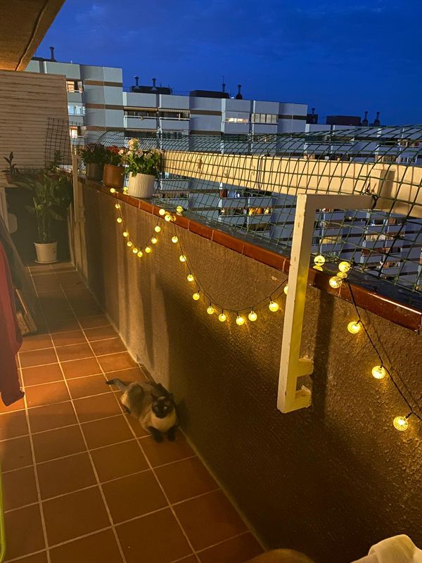 Casa de Siddharth