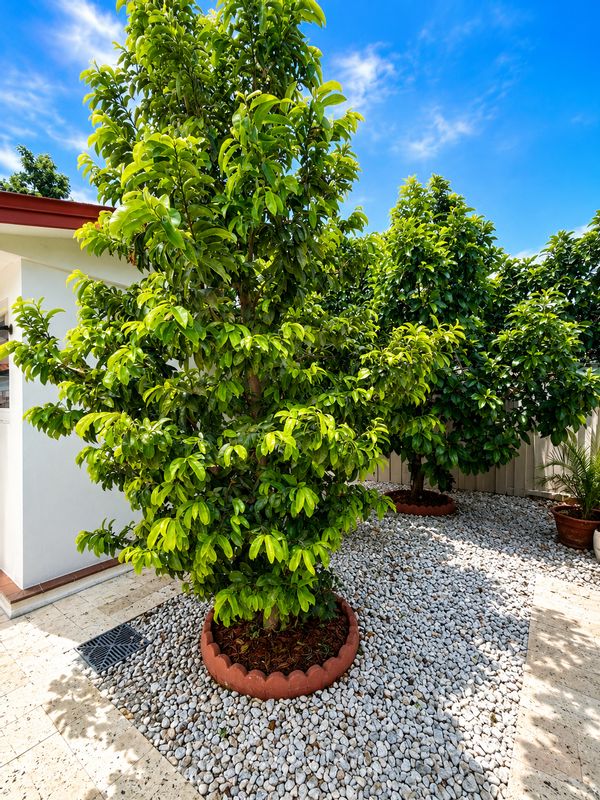 Habitación privada de Mayda