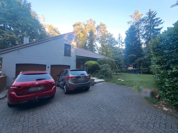 Steffis hus