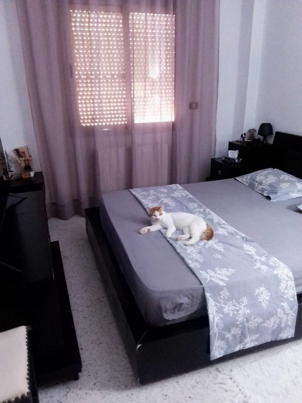 Casa de Jihen