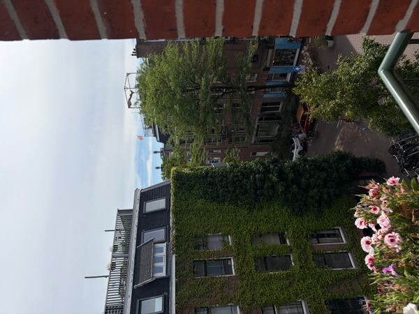 Nielss hus