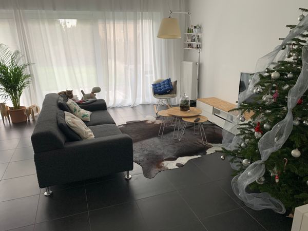Casa de Morgan