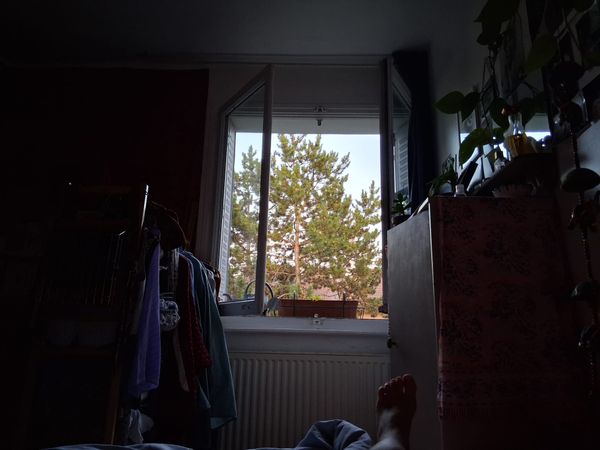 Alices hus
