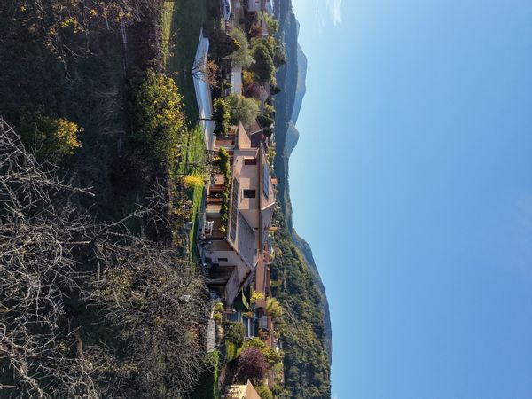 Patricia's house