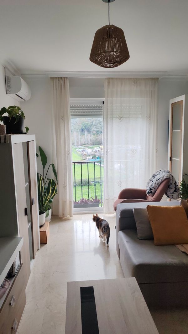 Sara's house