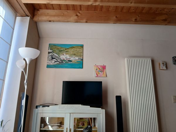 Alexandre's house