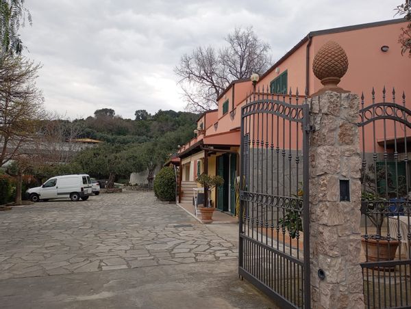 Elisa's house