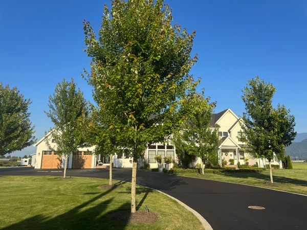 Angelas hus