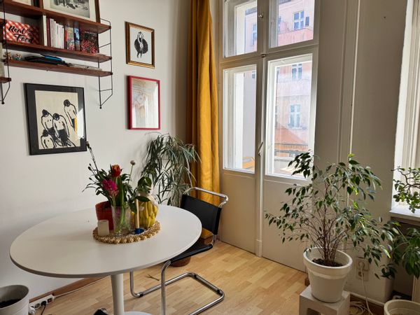Miguel s Haus