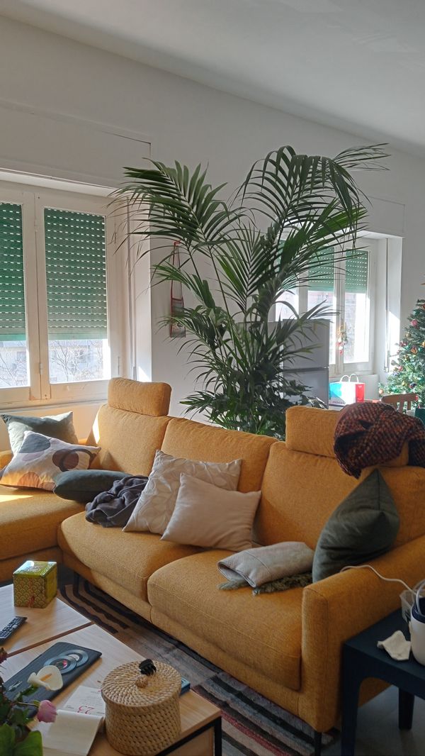 Laura s Haus
