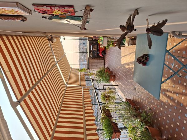 Stefania's house