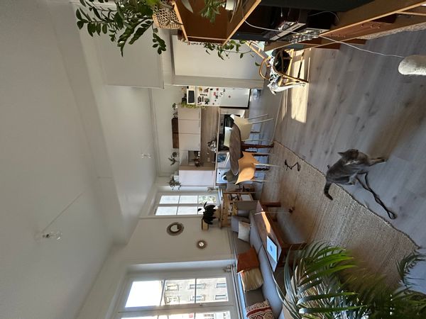 's house