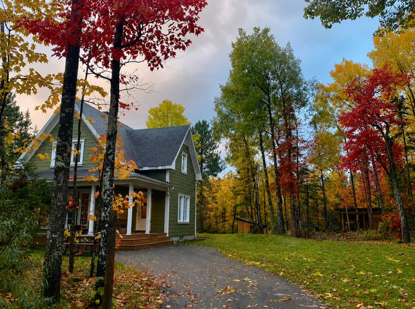 La maison verte, notre havre de paix au cœur de la forêt