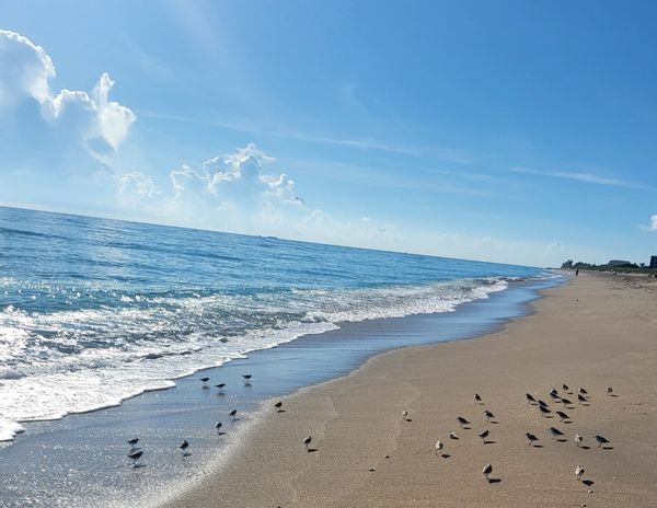 Debras Coastal Condi