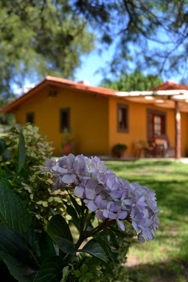 Casa de Mariana
