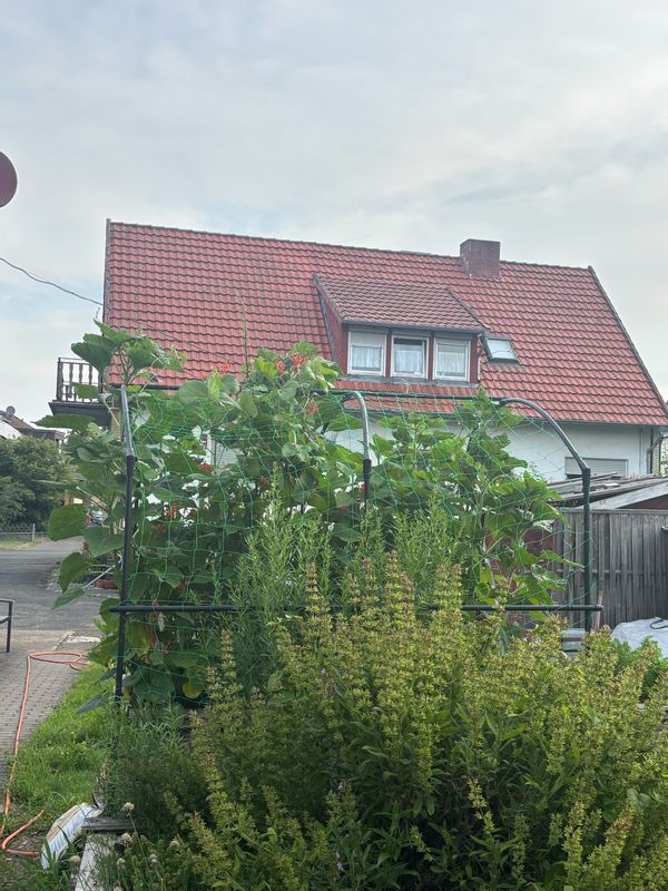 Miekes hus