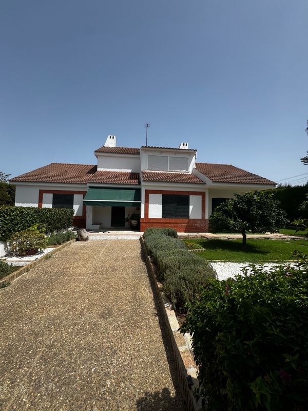 Esther's house