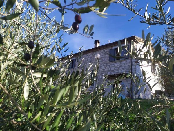 MAURIZIO's house